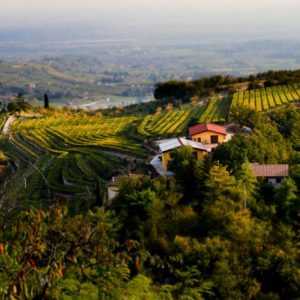 Valpolicella wine region