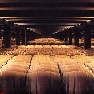 barrel aging cellar