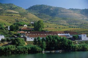 Bonfim Winery