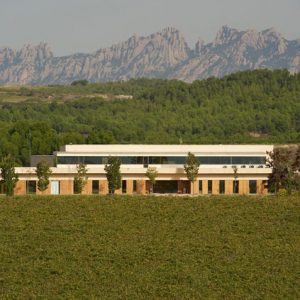 Vilarnau winery and vineyard