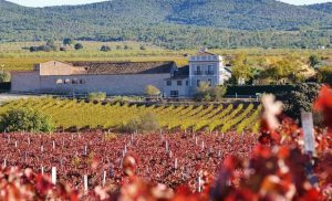 Bodegas Mustiguillo