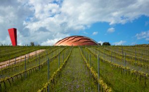 Dramatic Tenute Lunelli winery