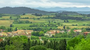 Surrounding vineyards at Carcassonne