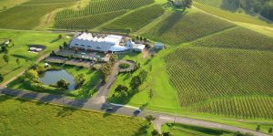 Lindemans winery and vineyard