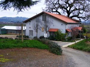 Toad Hollow tasting room