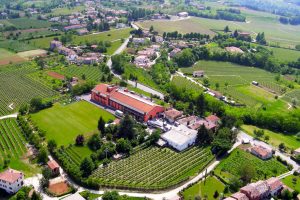 Il Colle winery and vineyard