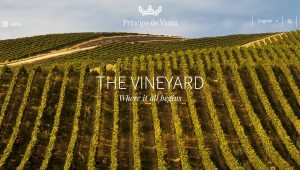 Príncipe de Viana vineyard