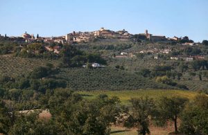 Umbria and Tabarrini vineyards