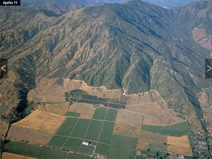 Viña Montes vineyard 3