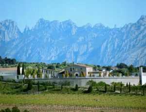 juve-y-camps-winery-views-2