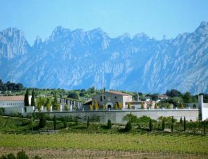 juve-y-camps-winery-views-2