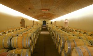 barrel-room-at-concha-y-toro