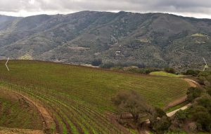 talbott-vineyard-in-carmel-valley