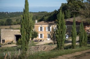 chateau-chatard-winery-and-vineyard