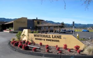 whitehall-lane-winery