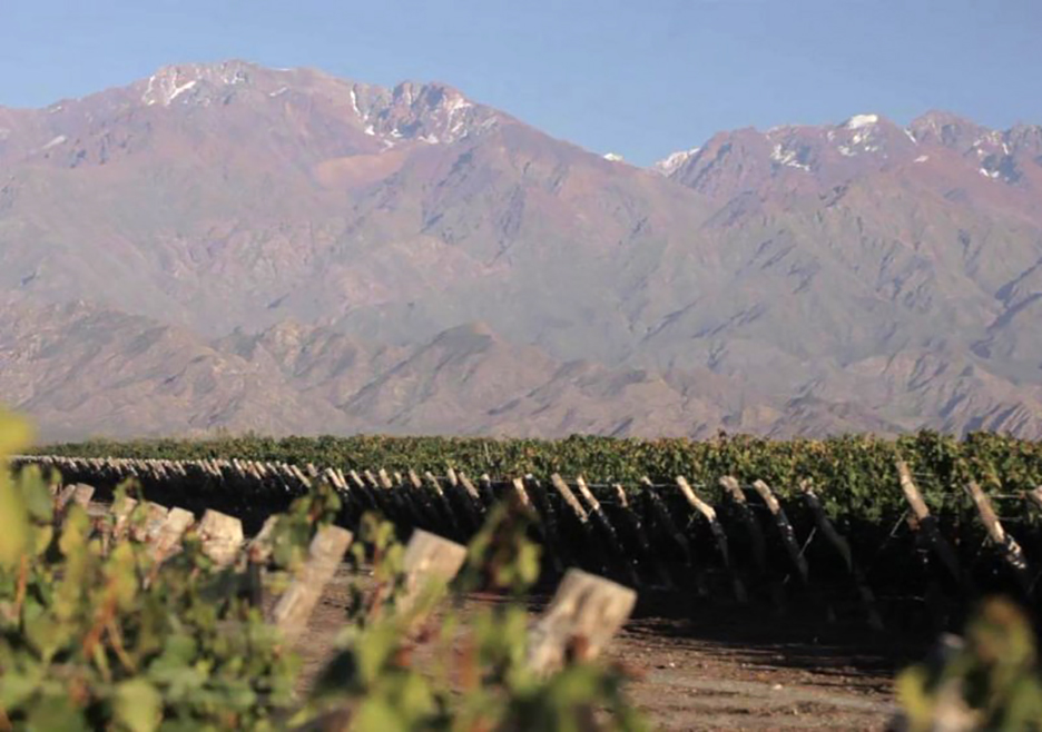 Mendoza, Argentina Wine Regions