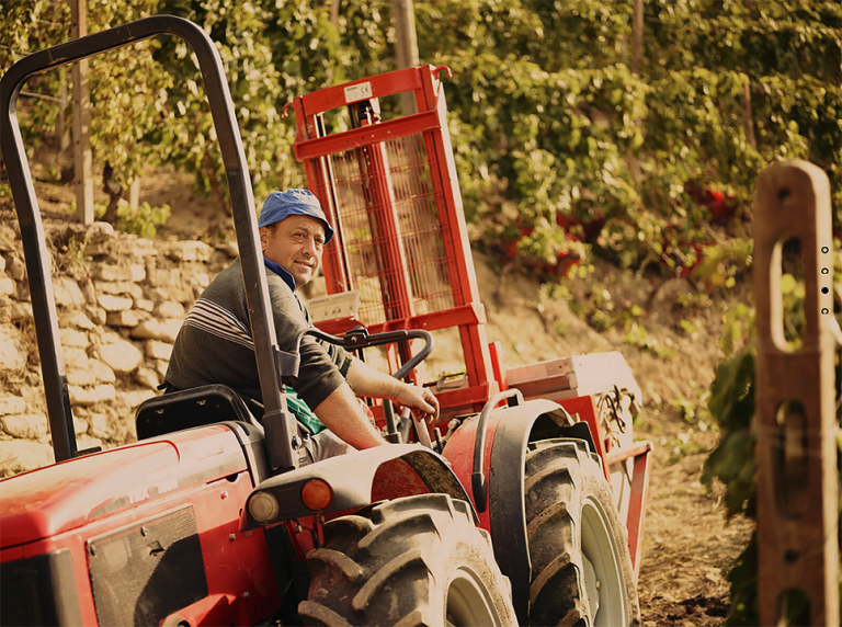 Martini & Rossi Asti Sparkling Wine DOCG NV Gus Clemens on Wine