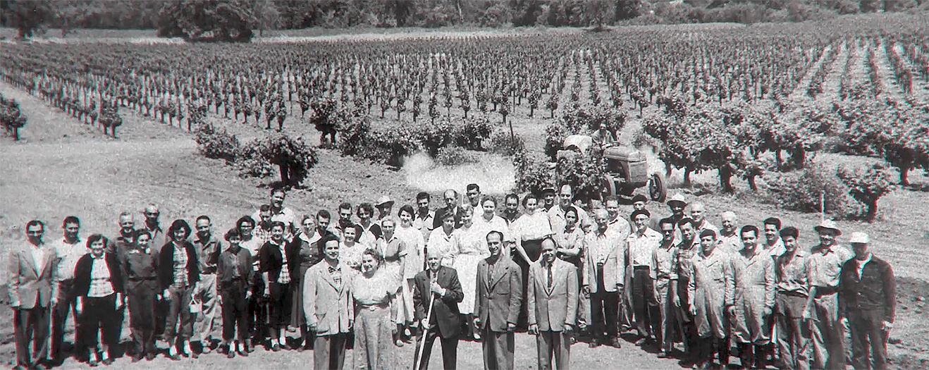 Charles Krug Winery Celebrates 75 Years of Cesare Mondavi Family  Stewardship - Wine Industry Advisor