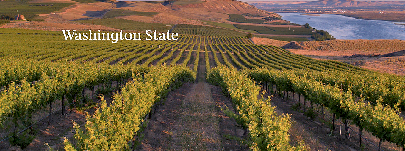 L Ecole No 41 Luminesce Semillon Sauvignon Blanc Seven Hills Vineyard 