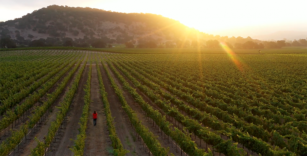 Markham Napa Valley Vineyards The Altruist 2017 Gus Clemens on Wine