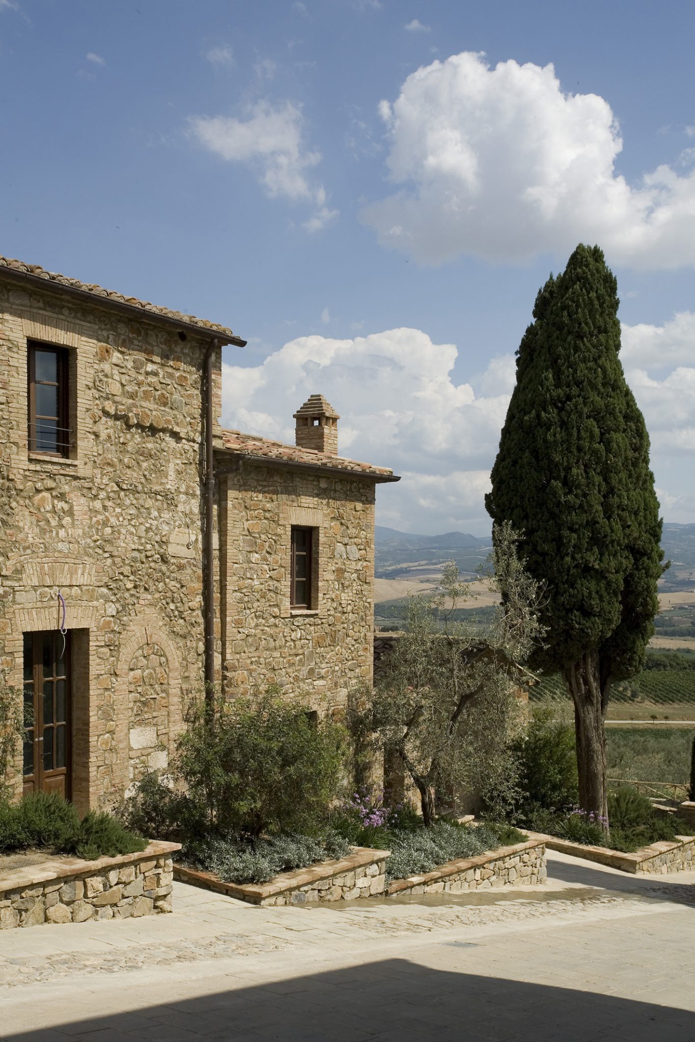 Castello Banfi San Angelo Pinot Grigio Toscana 2019 – Gus Clemens on Wine
