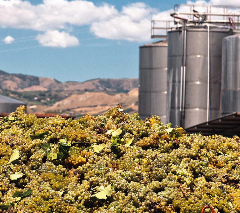 Cantine Ermes Vento di Mare Pinot Grigio, Terre Siciliane IGT 2020